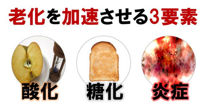 酸化・糖化・炎症